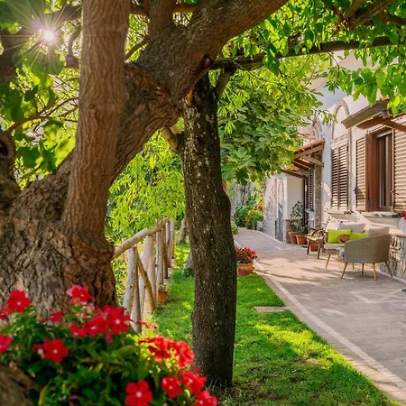Monte Brusara Relais Bed and breakfast