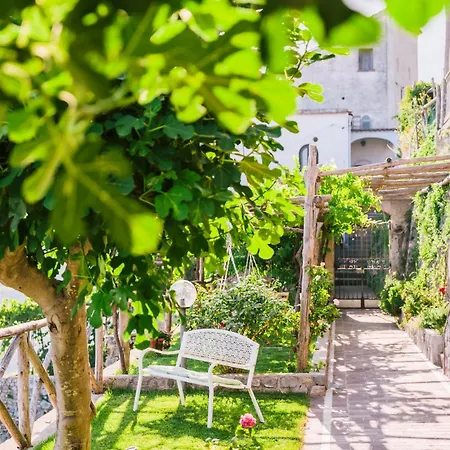 Monte Brusara Relais Bed & Breakfast