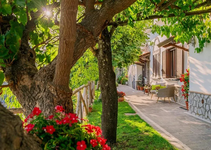 Monte Brusara Relais Bed & Breakfast